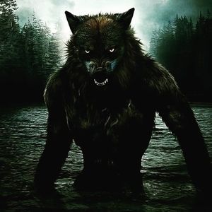 Meet your Posher, Brock